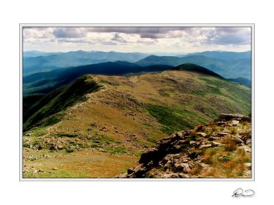 Southern Presidentials 2.jpg