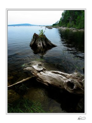 Pemadumcook Lake Maine.jpg