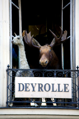 Deyrolle