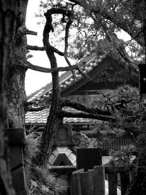 Narita Temple