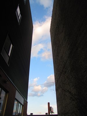 4342.jpg