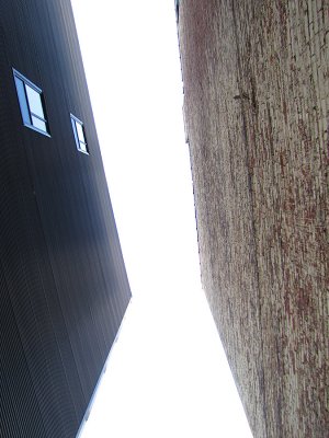 4344.jpg
