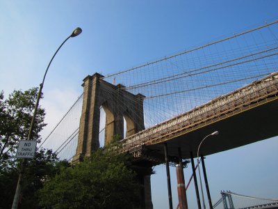 5843.jpg