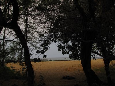 7059.jpg