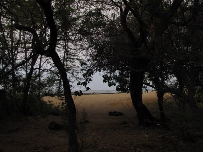 7060.jpg