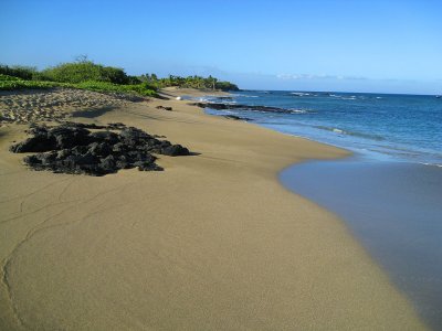 031beachhike.jpg