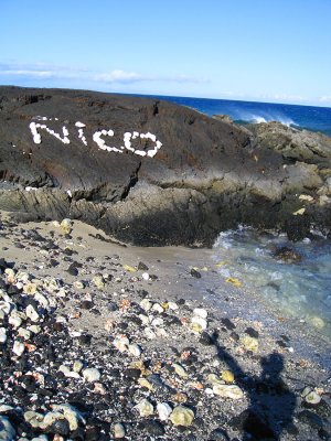 040nicorock2.jpg