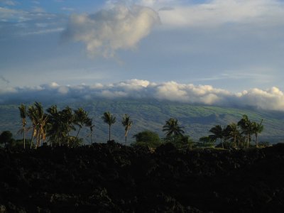045waimea.jpg