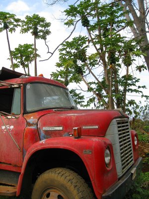053truckhawaii.jpg