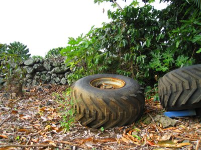 058tirecrops.jpg