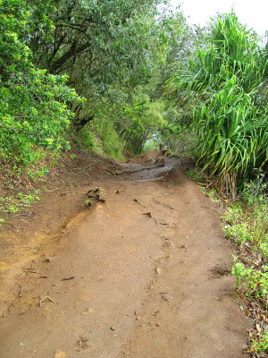 075mudtrail.jpg