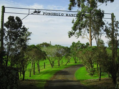 085greenranch.jpg