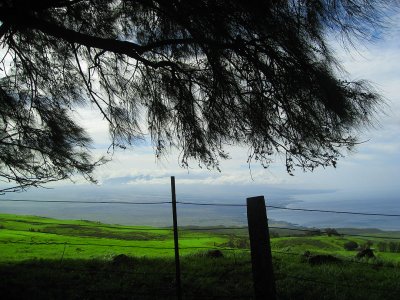086waimea.jpg