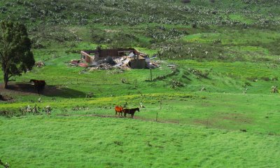090horseranch.jpg