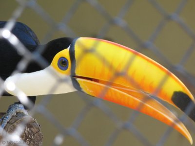 Rio Zoo
