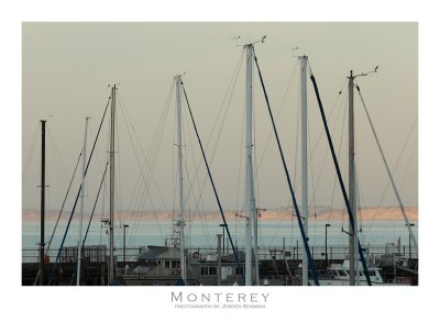 Paste El Monterey