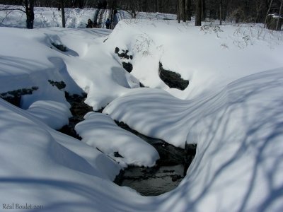 Mont-Royal, Montral