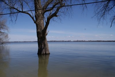 Crue printanire - Rang de la barbotte Lacolle