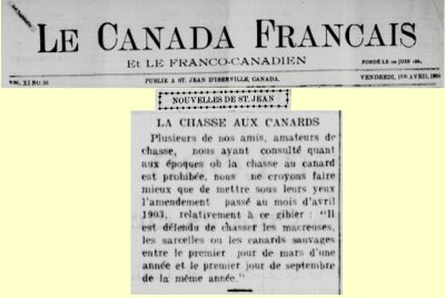1 avril 1904 - Macreuses et sarcelles.