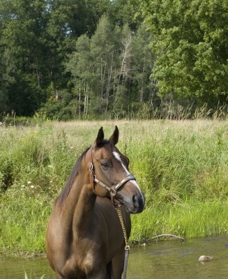 IMG_4466 crop 5x7.jpg