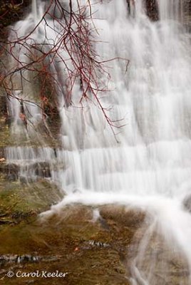 Redtwig Dogwood and Waterfall