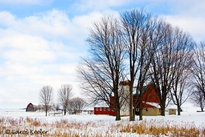 Winter Farm