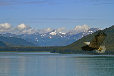 ALASKA - Inside Passage IMG_1413