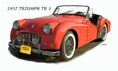1957 TRIUMPH TR 3  IMG_9413