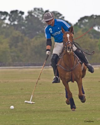 POLO  IMG_9737