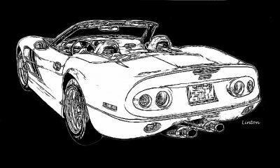 SHELBY Series1 IMG_1074