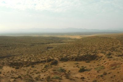 Steppe.