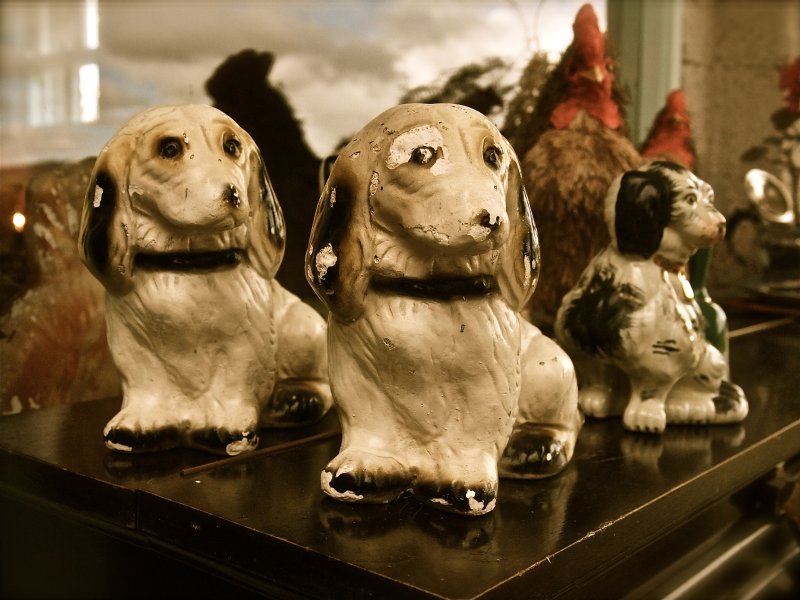 Fire Dogs