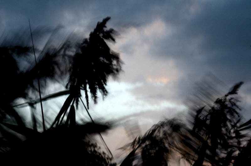 Wild and Windy