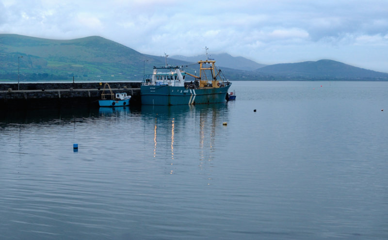 Carlingford Lough