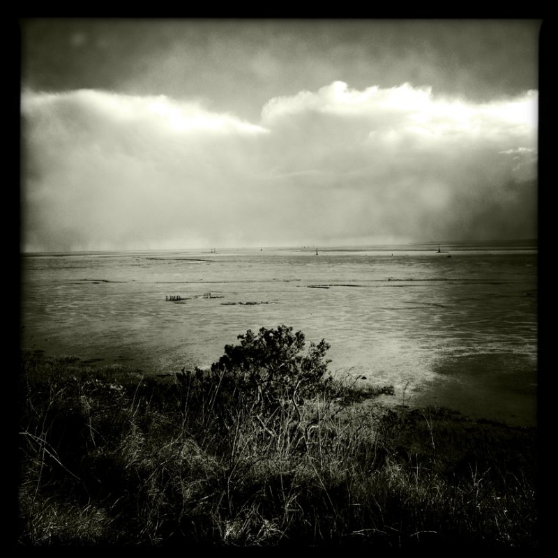 Heavy Weather