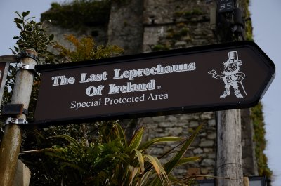 Ireland's last leprechauns
