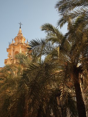 Tower through the palms