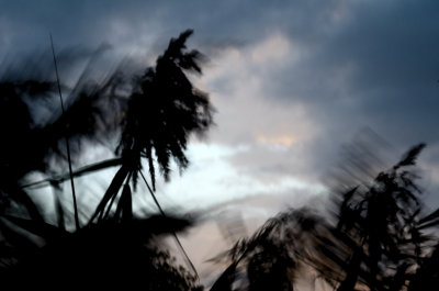 Wild and Windy