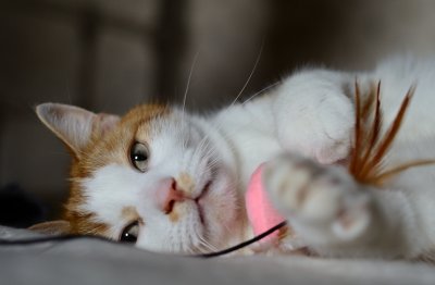 At Play