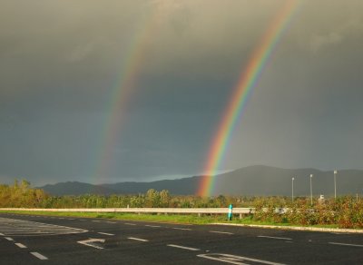Chasing Rainbows