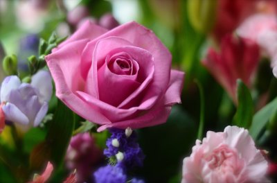 Smelling the Roses