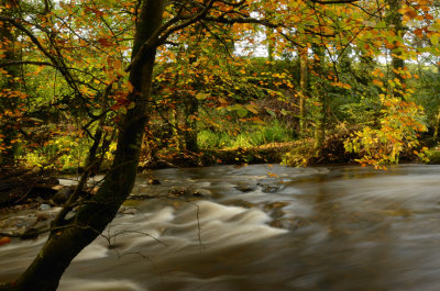 Autumn Colour