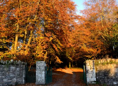 Autumn at Anaverna