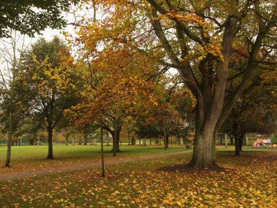 In the Park