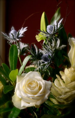 Budget Blooms
