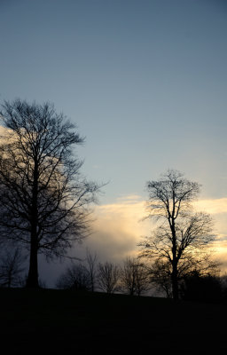 Early Morning in the Park