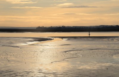 Mudflats