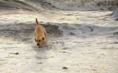 At the Beach