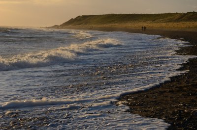 A Walk on New Year's Day