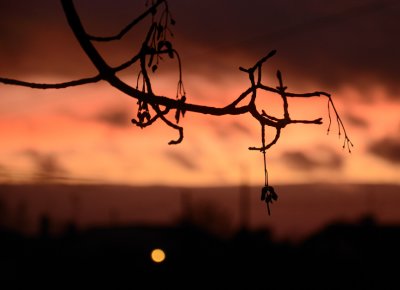 Light in the Dark